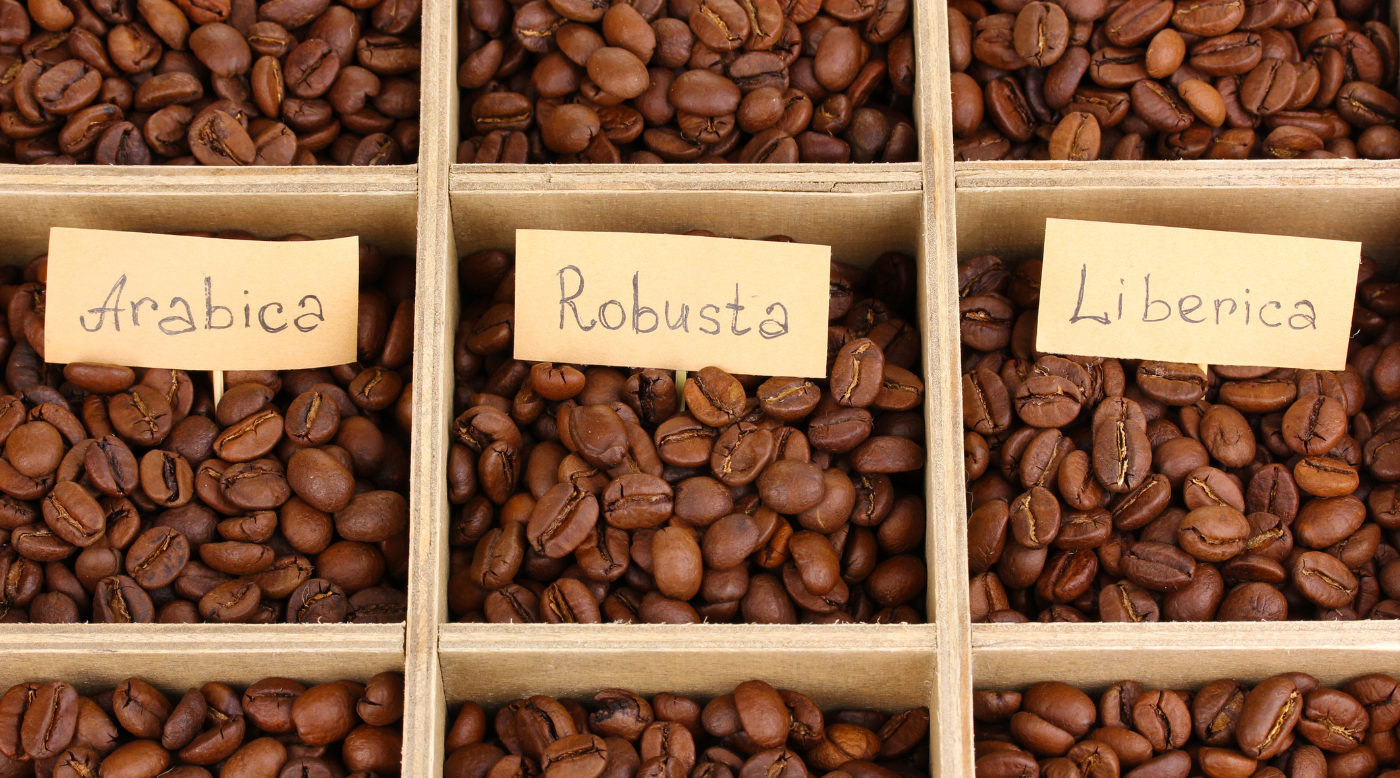 Exploring the World of Coffee: A Guide to Coffee Varieties