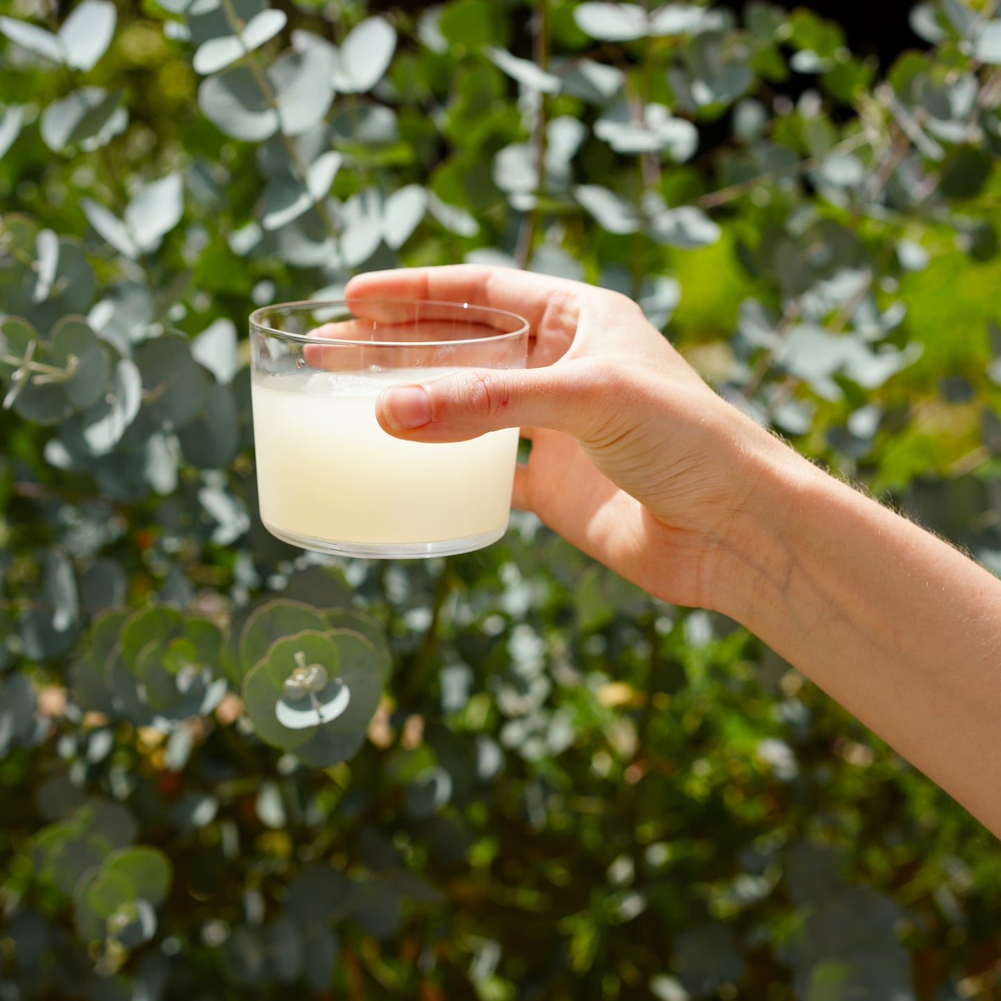 pastis making kit
