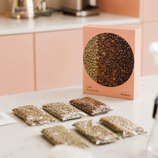 kit de torréfaction du café